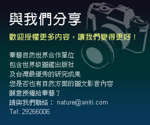 華藝數位